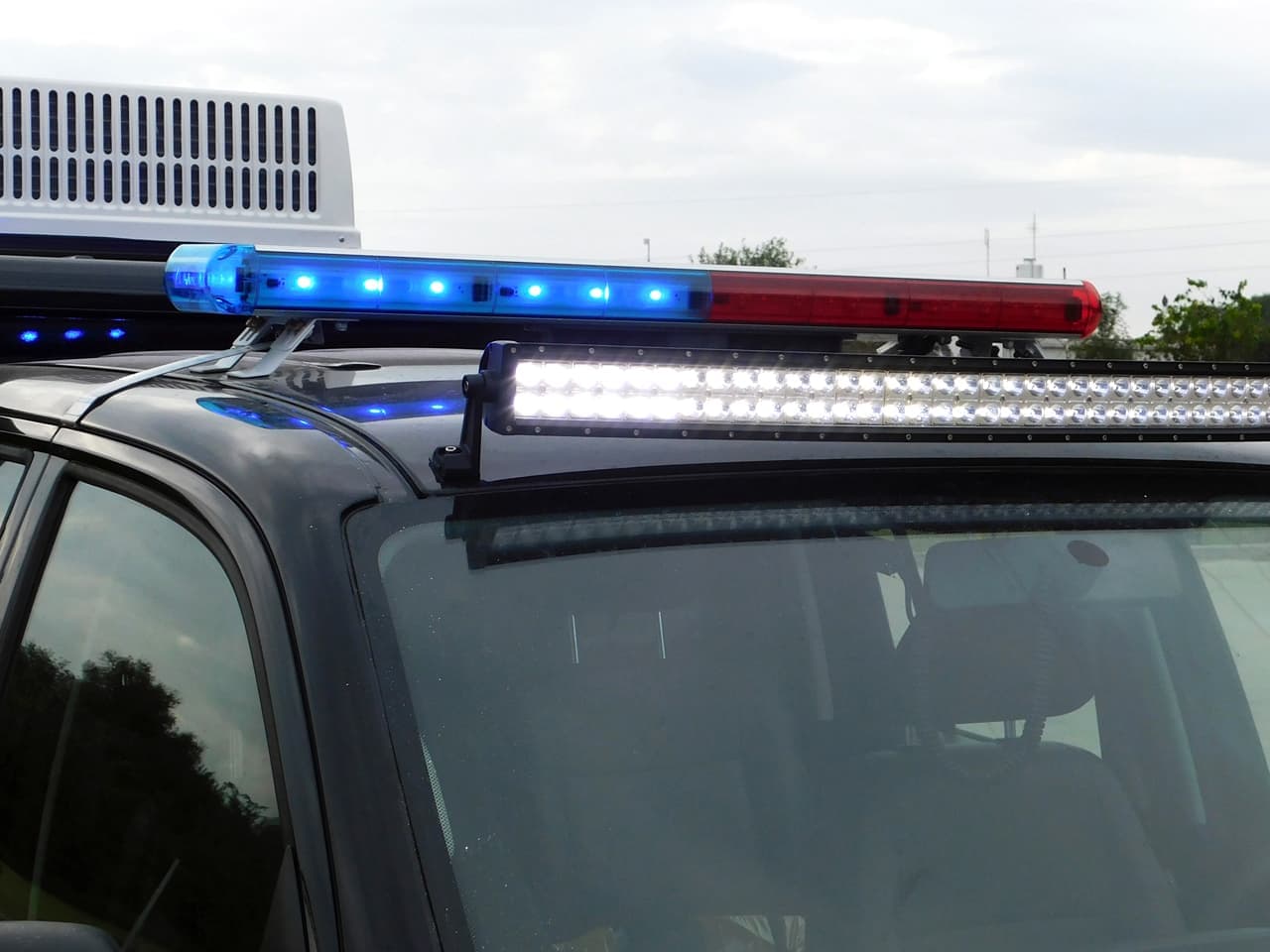 Interior 4 de Móvil de Traslado